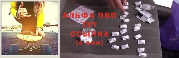 прущие грибы Алексин