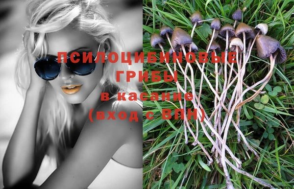 прущие грибы Алексин