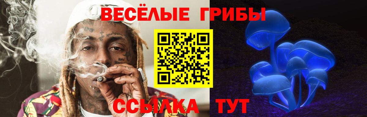 Псилоцибиновые грибы Psilocybine cubensis  Вход с VPN  Галлюциногенные грибы мухоморы  Евпатория 